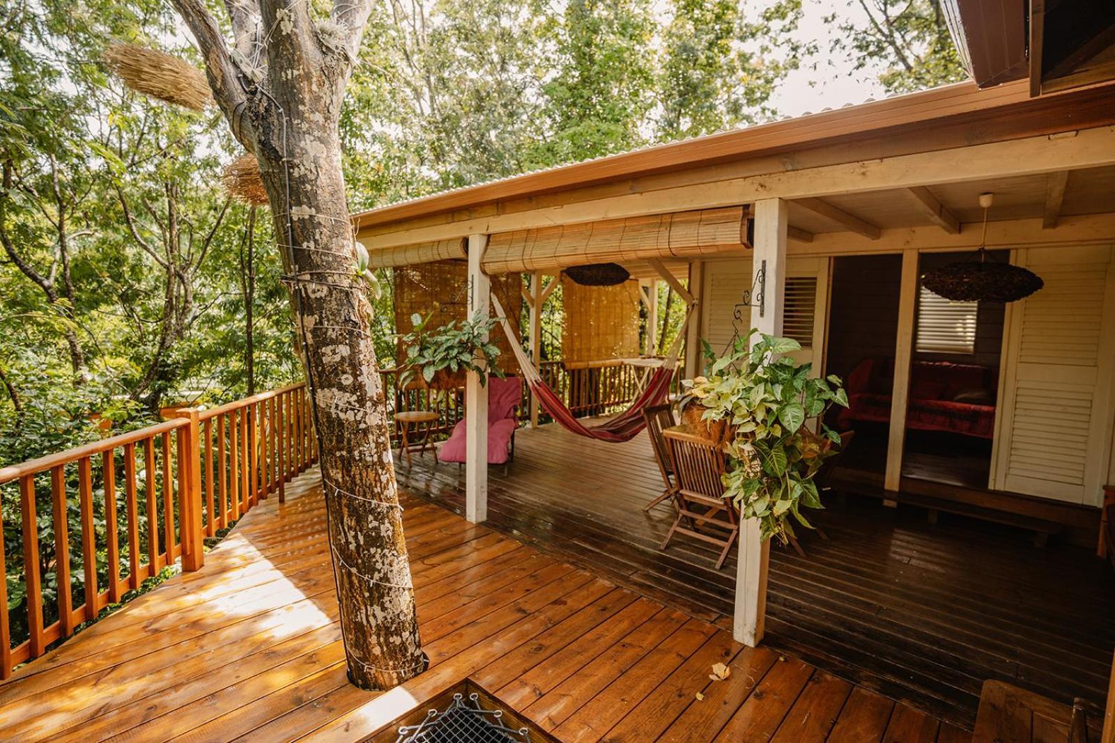 Au Jardin Des Colibris Ecolodge&Spa Deshaies Exterior foto