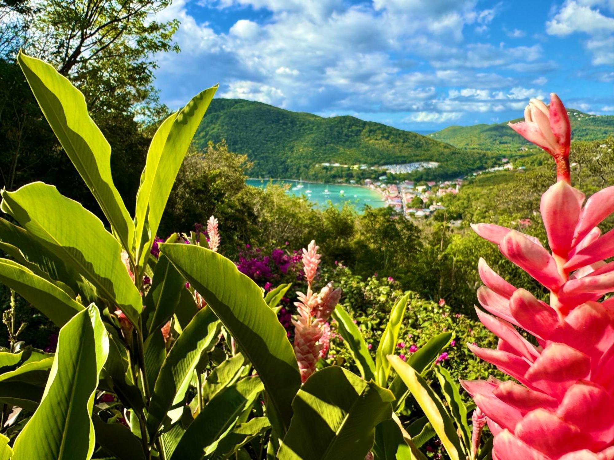 Au Jardin Des Colibris Ecolodge&Spa Deshaies Exterior foto